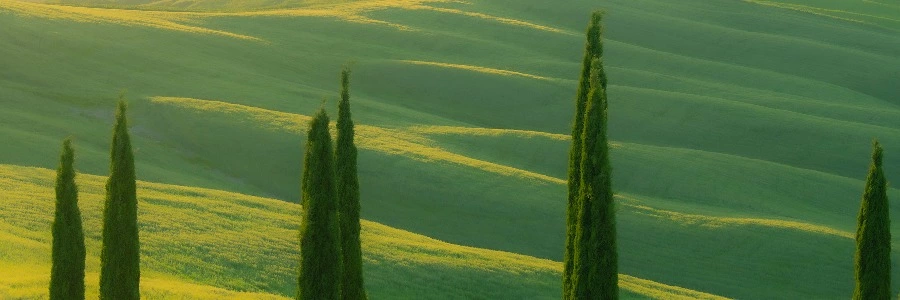 Welcome to BIIBII.CN