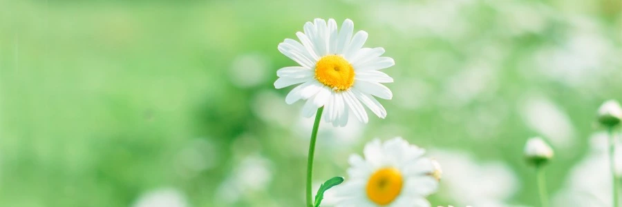 Welcome to BIIBII.CN