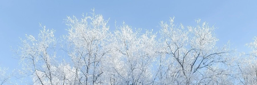 Welcome to BIIBII.CN