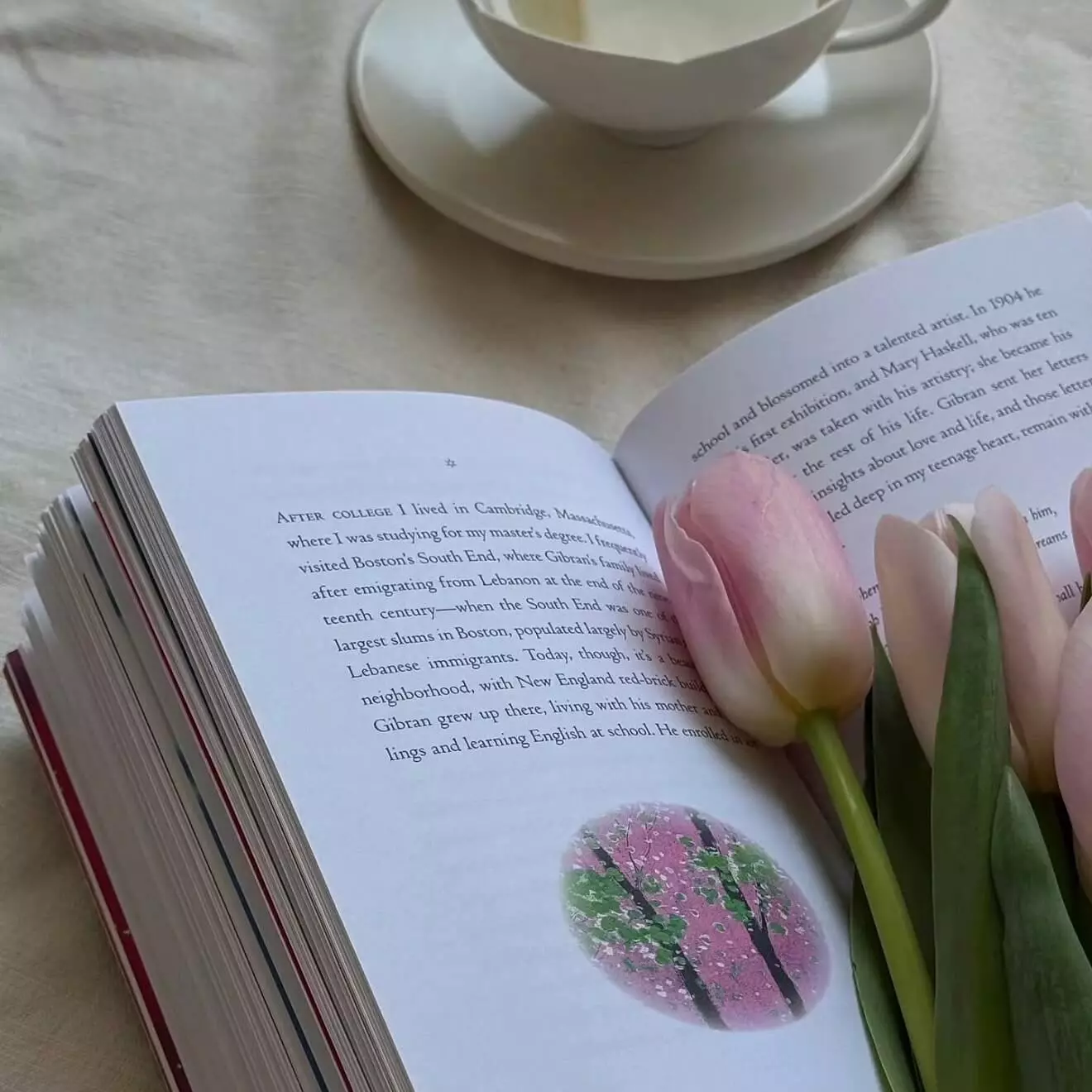 网速太慢怎么办?10个拖慢网络速度的原因及解决方案汇总